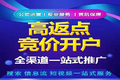 某电商平台的SEM服务全解析